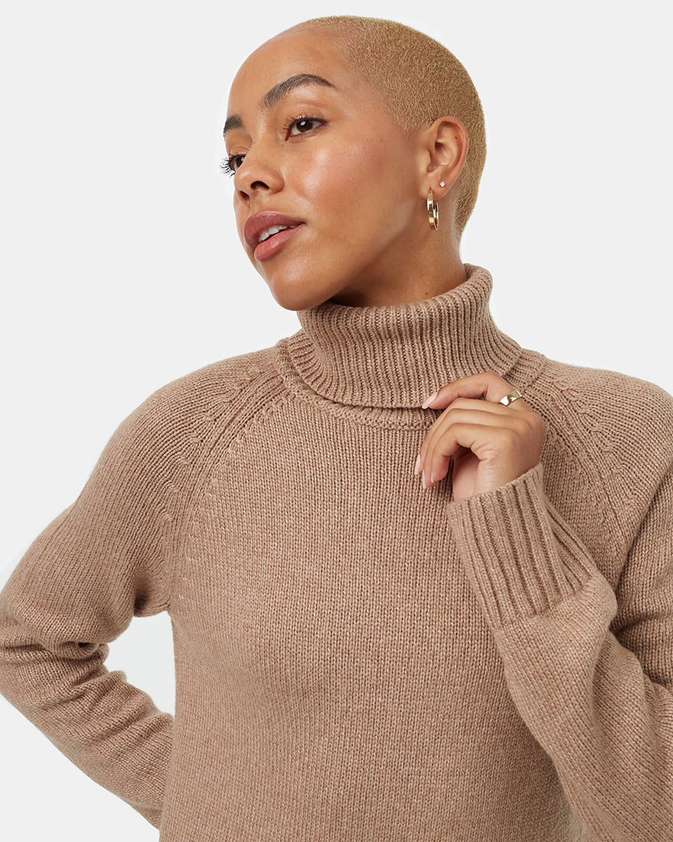 Highline Turtleneck Dress