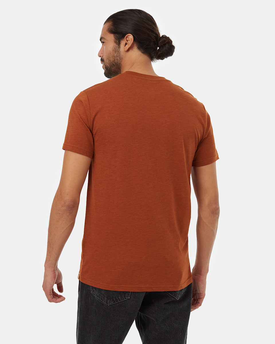 Camiseta del portal del artista