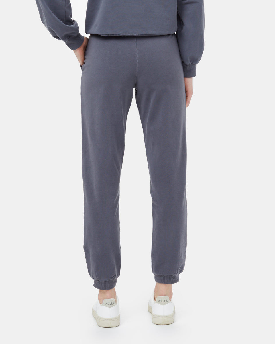 Γαλλική δρομέας Terry Fulton