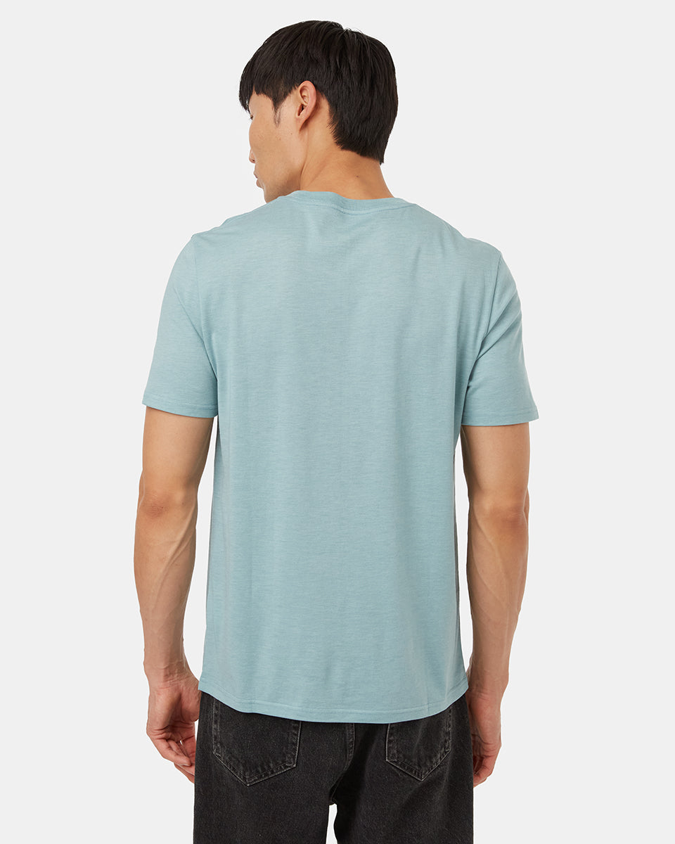 Camiseta con garra de oso