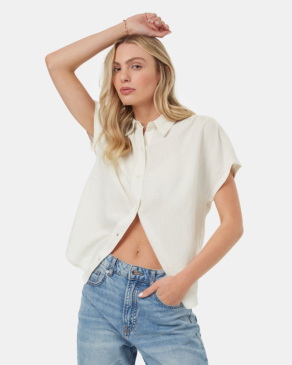 Κάνναβη Ντόλμαν