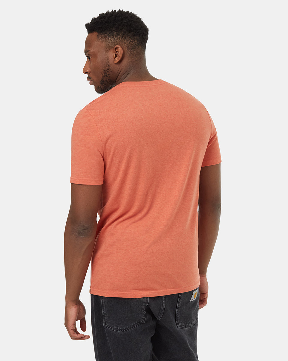 Camiseta con garra de oso