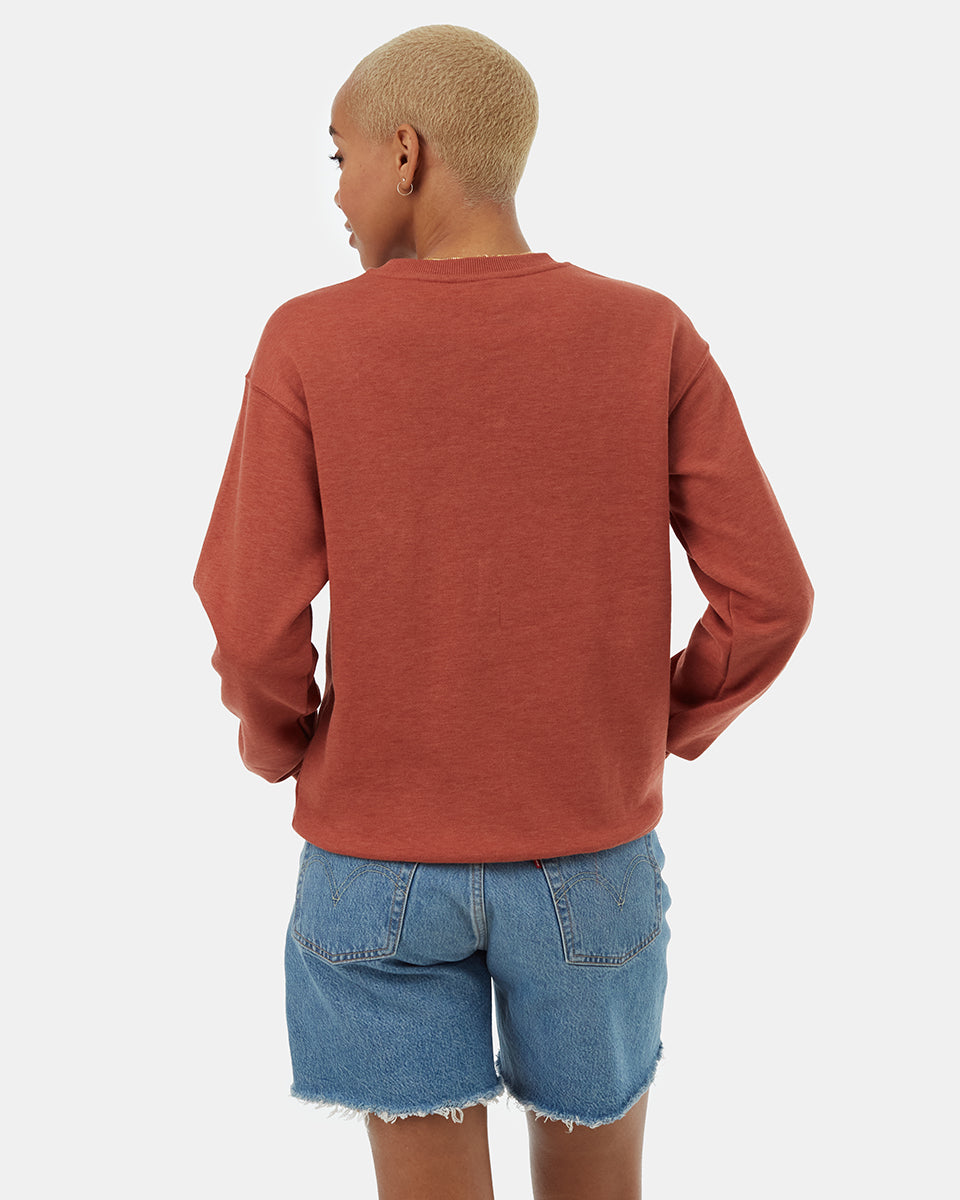 Equipo de la serie Artist