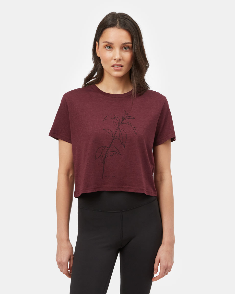 Sugar Leaf Cropped T-Shirt
