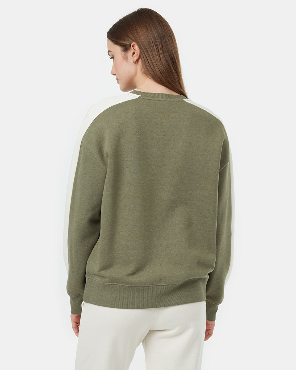 Blocked Sleeve Stripe Crew