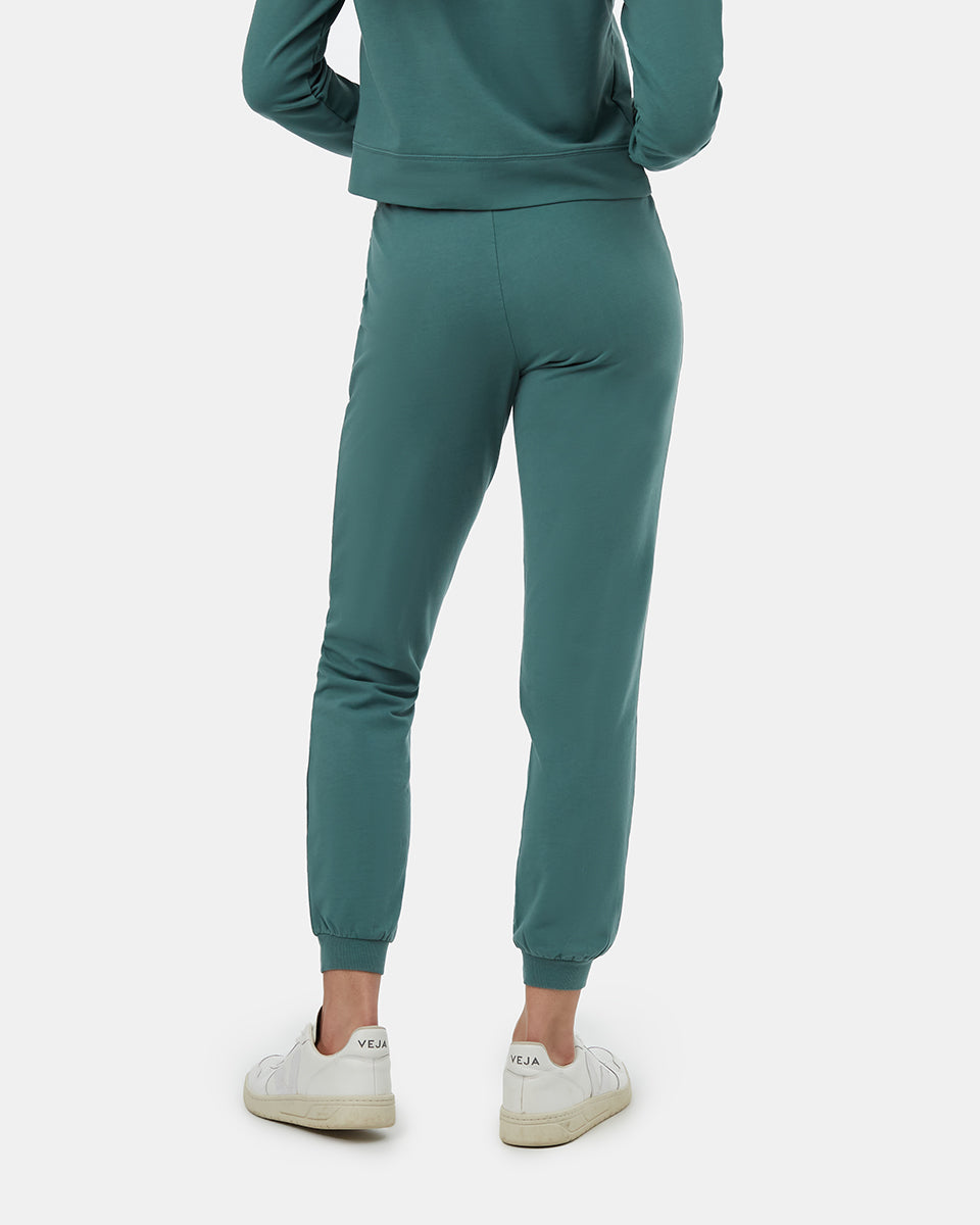 Γαλλική δρομέας Terry Fulton