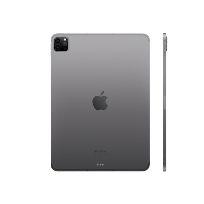 iPad Pro 2022 (11") Space Gray 256GB (Cellular + Wifi)
