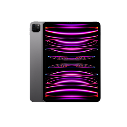 iPad Pro 2022 (11") Space Gray 512GB (Wifi)