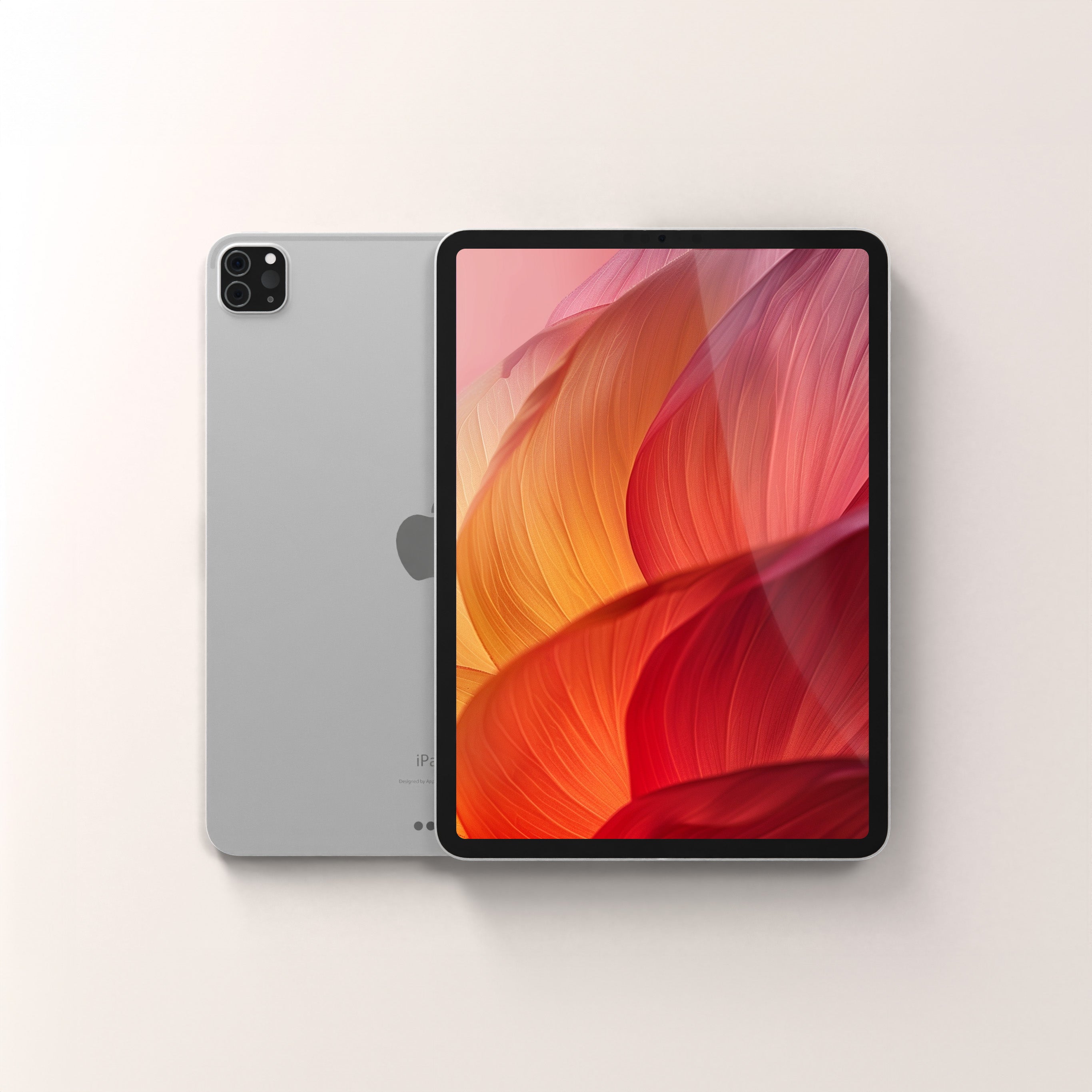 iPad Pro 11" 2ης γενιάς (2020) 512GB WiFi 